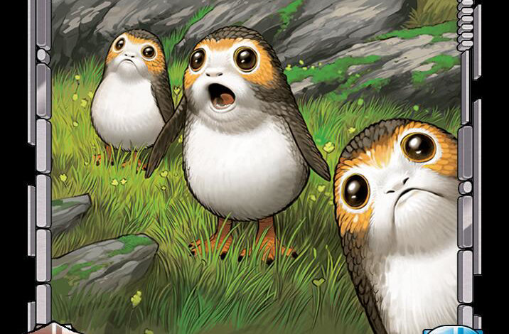 100 Porgs