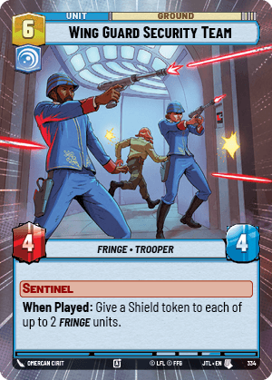 Wing Guard Security Team